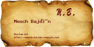 Mesch Baján névjegykártya
